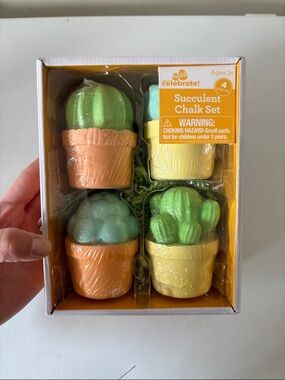 Succulent Chalk Set - Green & Peach
